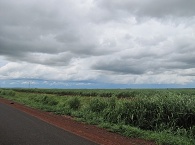 clique na foto para ampli-la