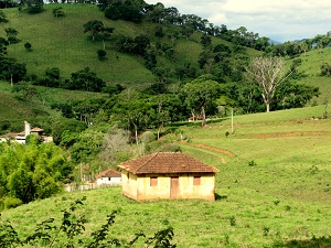 clique na foto para ampli-la