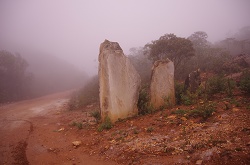 clique na foto para ampli-la